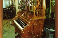 organ framed1
